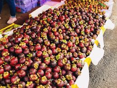 -三旗百汇商品城