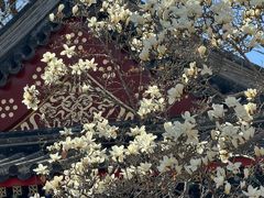 -北京艺术博物馆(万寿寺)