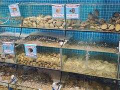 水产区-范饭椰林川湘味海鲜·椰子鸡(三亚湾椰梦长廊店)