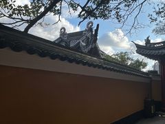 -枣子树·素食餐厅(普陀山店)