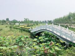 -金色田园农家乐餐厅