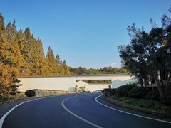 -杭州雅谷泉山庄酒店-餐厅