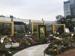 -莲花山公园