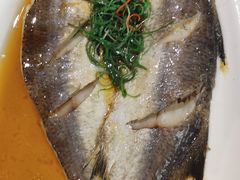 清蒸发财鱼-涵苑私宴定制(外滩店)