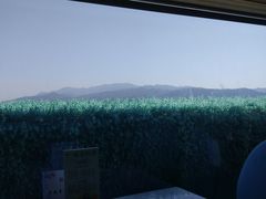 -茉莉花空中花园餐厅(义乌店)