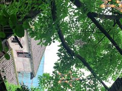 -磁器口古镇