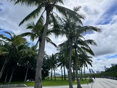 -深圳湾公园(南山区)