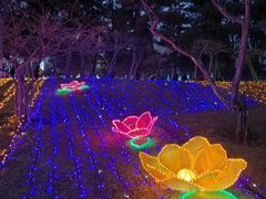 -青龙湖公园