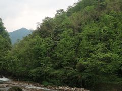 -青城山