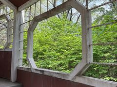 -沈阳植物园