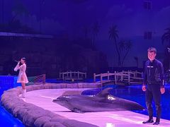 -华夏文旅海洋公园