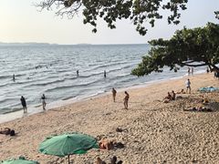 -卷心菜和避孕套餐厅(Pattaya)
