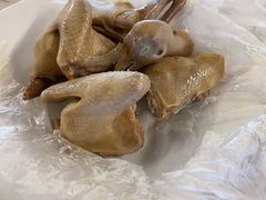 -百利鸽王(紫薇路店)