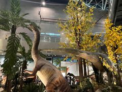 -湖南省地质博物馆