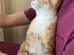 -爱诺耐芙动物医院(万博店)