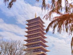 -牛首山文化旅游区