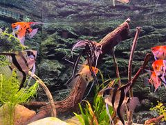 -上海海洋水族馆