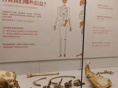 -北京大学赛克勒考古与艺术博物馆