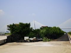 -芒洲湿地公园