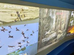 -上海昆虫博物馆