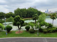 -月湖风景区