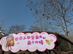 -南宫五洲植物乐园