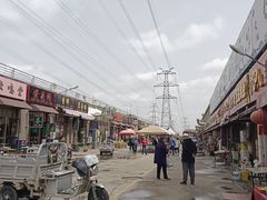-中环花鸟鱼虫市场