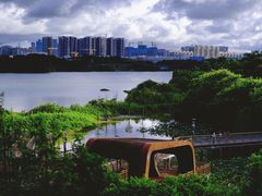 -立新湖公园