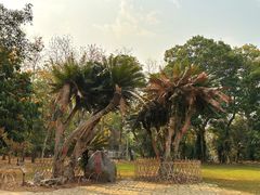 -中国科学院西双版纳热带植物园