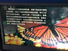 -上海昆虫博物馆