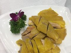 白切鸡-鹅城