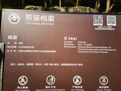 -都江堰中华大熊猫苑