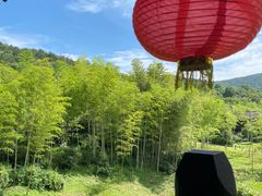 -大唐贡茶院