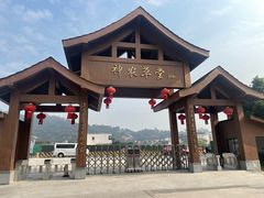 -广州神农草堂中医药博物馆