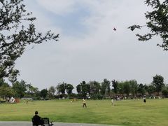 -府河摄影公园