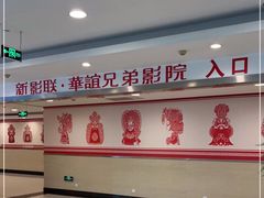 -新影联·华谊兄弟影院(望京店)
