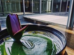 -桂语山房(满觉陇店)