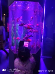 -未来动物城主题公园(正弘城店)