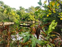 -厦门日月谷温泉渡假村