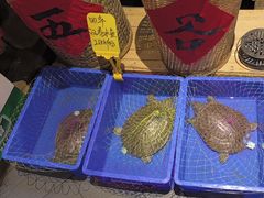 -帝一铭家宴(板塘店)