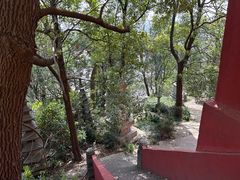 -孤山景区-孤山寺