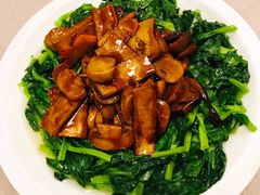 豆苗杏鲍菇-清水蘭軒