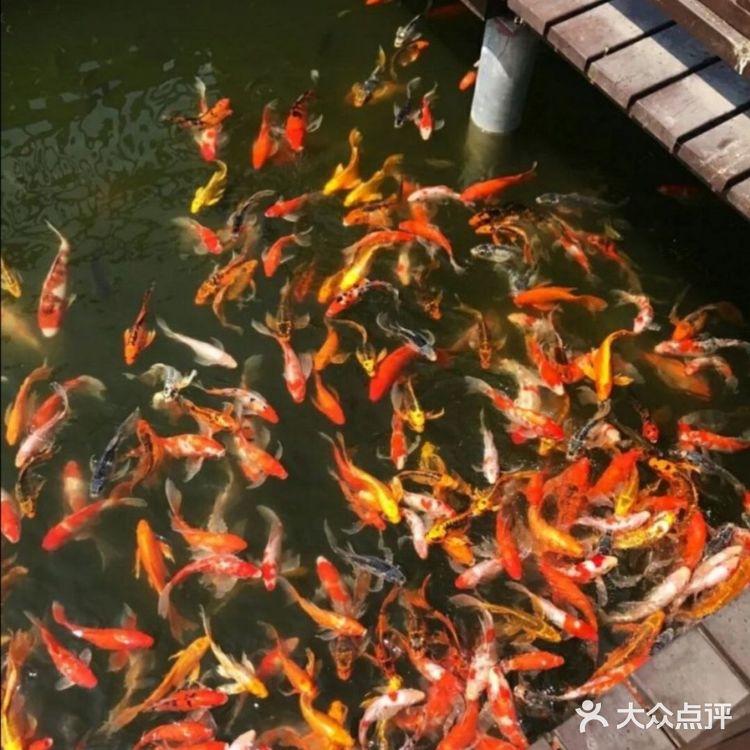 春天到了🌸带着孩子一起去亲近大自然吧[吐][吐]