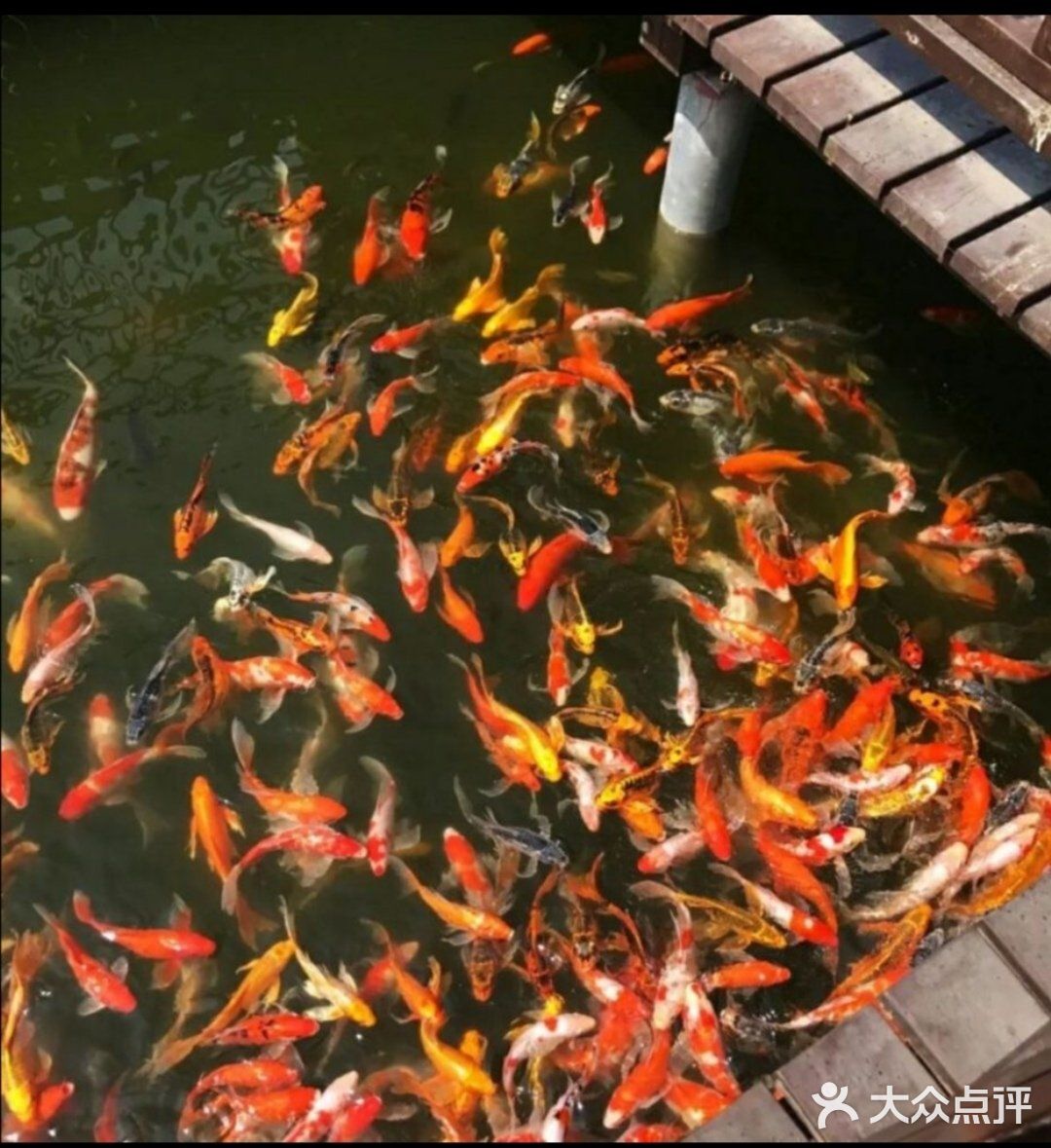 春天到了🌸带着孩子一起去亲近大自然吧[吐][吐]