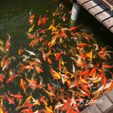 春天到了🌸带着孩子一起去亲近大自然吧[吐][吐]