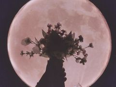 -武汉5D星空错觉艺术馆(中心百货店)