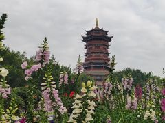 -厦门园林博览苑