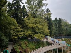 -径山寺