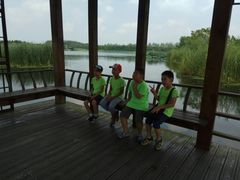 -溱湖国家湿地公园