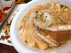 -楚灶王(徐东店)